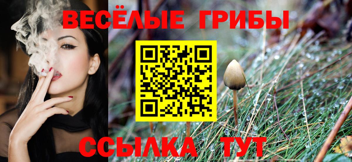 Alpha PVP Лесозаводск